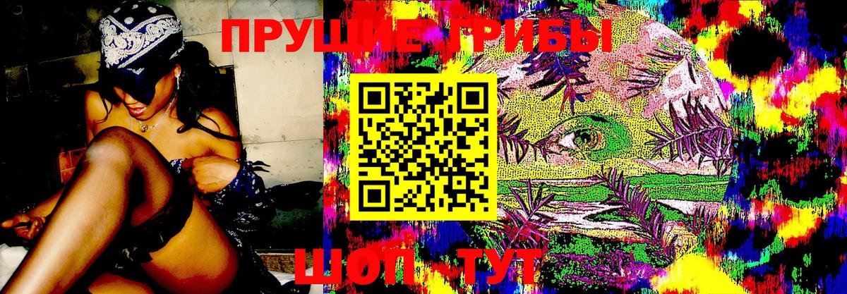 Галлюциногенные грибы Cubensis Хабаровск